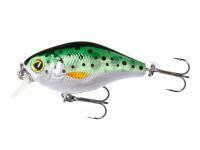 Poisson nageur Mikado Fishunter Bold Head 40mm 3.5g - Rainbow Trout