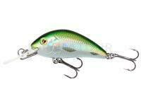 Poisson nageur Mikado Fishunter Cavalier 40mm 3.6g - Olive Bleak