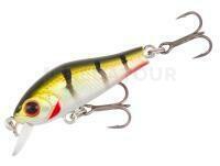 Leurre Mikado Prominnow 35mm 2g - GP