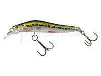 Leurre dur Molix Jubarino 5cm 2.5g | 2 inch 3/32 oz - 177 Vairon