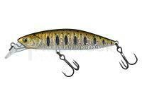 Leurre Molix Rolling Minnow 60mm 8.5g - 512 MX Brown Trout