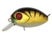 Leurre Pontoon21 Baby Red Rag 32F SR | 32mm 4.8g - 307 Crash HG Gold Perch