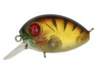 Leurre Pontoon21 Baby Red Rag 32F SR | 32mm 4.8g - 837 MI Gold Perch