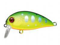 Leurre Pontoon21 Hypnose 38F SSR | 38mm 3.8g - R10 Chartreuse Yamame Tiger