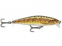 Leurre Rapala Flat Rap 8cm 7g - Brown Trout (TR)