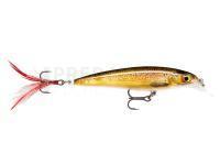 Leurre dur Rapala X-Rap 4cm 2g - Live Brown Trout