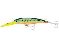 Leurre Rapala X-Rap Magnum 10 | 11cm 22g - Firetiger