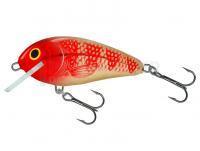 Leurre Salmo Butcher BR5F | 5cm 5g - Golden Redhead