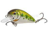 Leurre Salmo Butcher BR5F | 5cm 5g - Yamame Ayu
