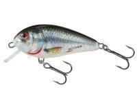 Leurre Salmo Butcher BR5F | 5cm 5g - HRD (Holographic Real Dace)