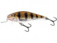 Leurre Salmo Executor IEX12SR - Emerald Perch