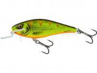 Leurre Salmo Executor IEX12SR - Mat Tiger