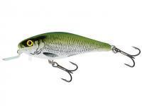 Leurre Salmo Executor IEX7SR - Olive Bleak