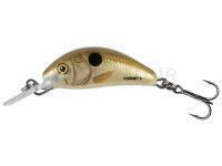Leurre Salmo Hornet 2.5cm 2.4g S - Pearl Shad