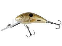 Leurre Salmo Hornet 4cm 4.3g S - Pearl Shad
