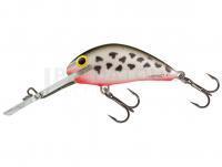 Salmo Hornet H4SDR DA