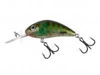 Leurre Salmo Hornet Rattlin H3.5 - Green Gill Clear