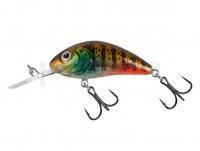 Leurre Salmo Hornet Rattlin H3.5 - Hot Gill Clear