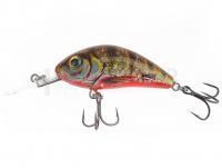 Leurre Salmo Hornet Rattlin H3.5 -  Yellow Holographic Perch