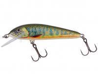 Leurre Salmo Minnow Floating 5 | 5cm 3g | 2" 1/16oz - Lake Charr