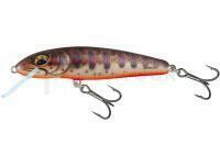 Leurre Salmo Minnow Floating 7 | 7cm 6g | 2 3/4" 3/16oz - Fresh Water Minnow