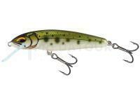Leurre Salmo Minnow Floating 7 | 7cm 6g | 2 3/4" 3/16oz - Yasame Ayu
