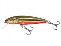 Leurre Salmo Minnow M5S RBD