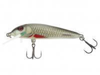 Leurre Salmo Minnow M6F 6cm - Dace