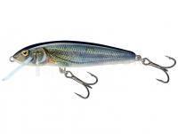 Leurre Salmo Minnow M6F 6cm - Spirlin