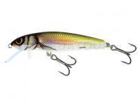 Leurre Salmo Minnow M6S 6cm - Holo Bleak