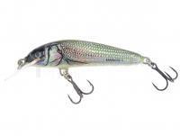 Leurre Salmo Minnow M7S - Holo Bleak