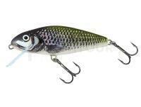 Leurre Salmo Perch PH12F - Holo Bleak