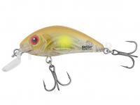 Leurre Salmo Rattlin Hornet Shallow SR 4.5cm 5.5g - Clear Ayu (CAYU)