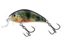 Leurre Salmo Rattlin Hornet Shallow SR 4.5cm 5.5g - Supernatural Perch (SP)