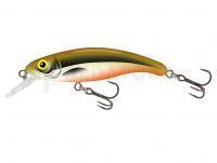 Leurre Salmo Slick Stick 6cm - Hot Olive (HO)