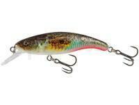Leurre Salmo Slick Stick 6cm - Supernatural Gobie