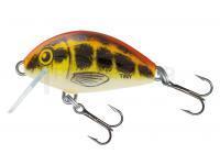 Leurre Salmo Tiny IT3F Baby Minnow (BMI)