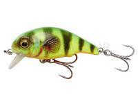 Leurre Savage Gear 3D Goby Crank SR 5cm 6.5g - Firetiger Fluo