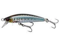 Leurre mer Savage Gear Gravity Minnow 6cm 12g Fast Sinking - Sardine Photo Print