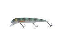 Leurre Savage Gear Sucker Flanker 25cm 107g - Perch Glitter
