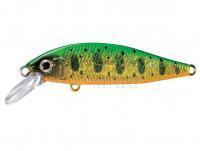 Leurre Shimano Cardiff StreamFlat 50HS | 50mm 4.5g - 005 Green Gold