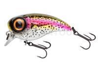 Leurre Spro Fat Iris 40 SF | 4cm 5.3g - Rainbow Trout