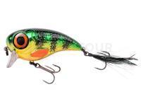 Leurre Spro Fat Iris 60 SF | 6cm 17g - Chrome Perch