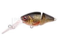 Leurre Spro IKIRU Double Crank 35F | 3.5 cm 3.4 g - Roach