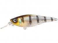 Leurre Spro Ikiru Shad 70SL | 7cm 10g SF - Buzzer