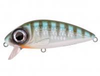 Leurre Spro Iris Flanky 75 SF | 75mm 13g - Herring