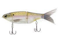 Leurre SPRO KGB Chad Shad 180mm 68g - Threadfin