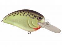 Leurre Spro Little John MD 50 5cm 14g - Cell Mate