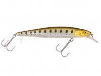 Leurre Spro Powercatcher Minnow 130 SF 13cm 15g - Gold Trout