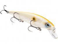 Leurre Strike King KVD 300 Jerkbait 12cm 14.2g - Pro Bone